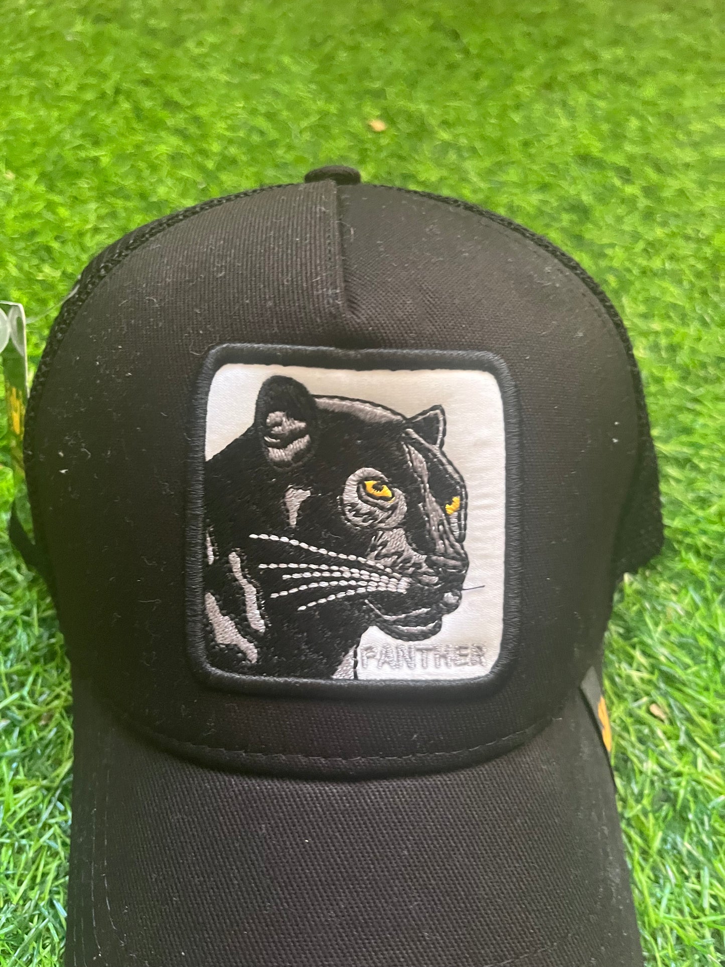 Goorin Bros Panther Kacket ( panther sa sivim slovima )