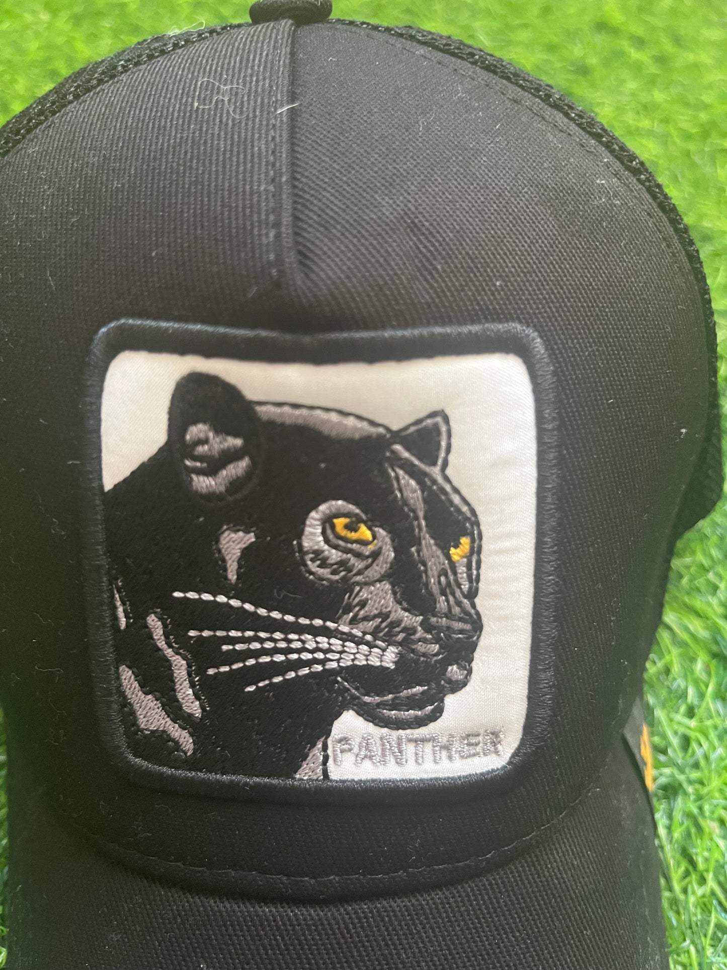 Goorin Bros Panther Kacket ( panther sa sivim slovima )