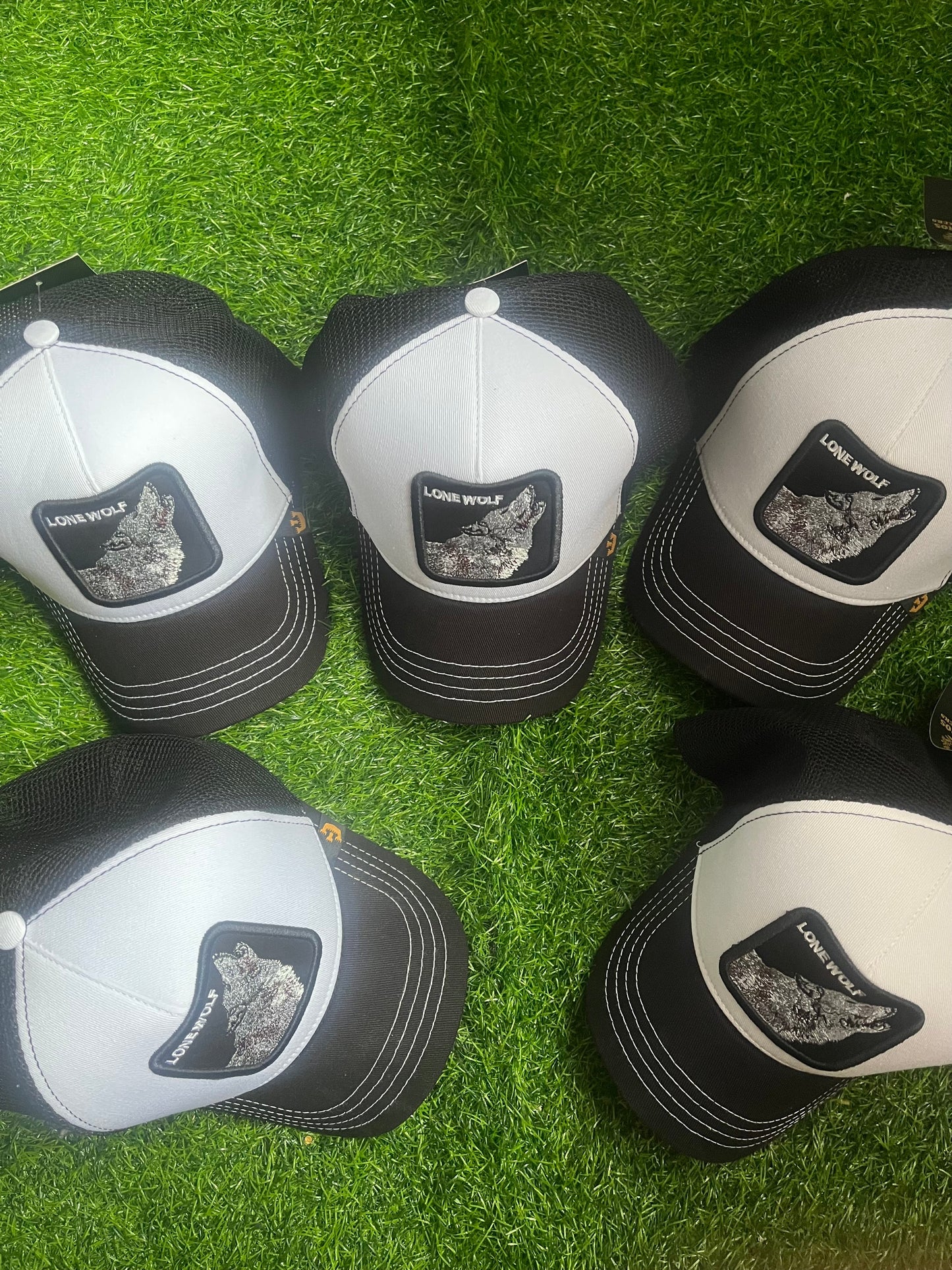 Goorin Bros Lone Wolf Kacket ( -60%% )